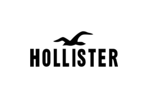 Hollister Logo