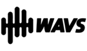 WAVS Custom