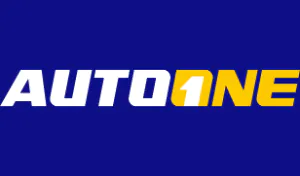 Autoone